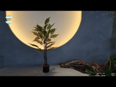 พืชเทียม