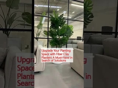 ปรับปรุงพื้นที่ปลูกด้วยเครื่องปลูกดินใย