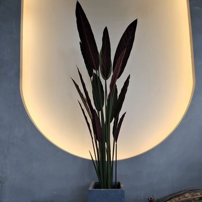 ซื้อ ต้นไม้เทียมสําหรับภายในและภายนอก online manufacture