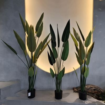 ซื้อ ต้นไม้เชฟเฟลเลราเทียม ที่ทนต่อแสงสว่าง UV สําหรับตกแต่งภายในและภายนอก online manufacture