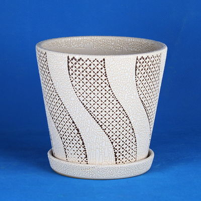 ซื้อ เคล็ดลับ ของ พืช ที่ มี ความ สดใส online manufacture