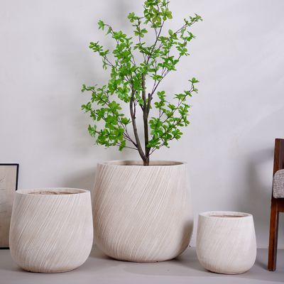 ซื้อ โมเดิร์น สะอาดต่อสิ่งแวดล้อม กระจกดอกไม้ขนาดเล็ก ในบ้าน / นอกโต๊ะทํางาน / การออกแบบสวน บ้านตกแต่งกล่องบรรจุสําหรับการปลูก online manufacture