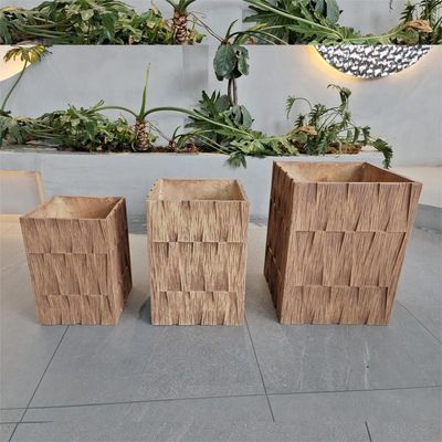เครื่องปลูกพืชในภายในบ้าน สําหรับพืชในกลางบ้าน