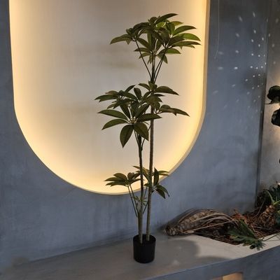 พืช Schefflera 150cm ที่มีความสดชื่น มีการป้องกันจากแสง UV ไม้หอมเทียม สําหรับตกแต่งบ้านภายใน พืชเทียม