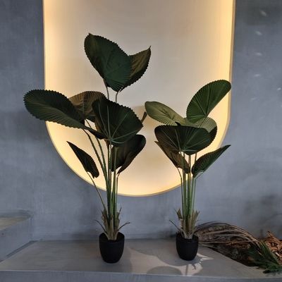 ไม้ปาล์มปัดเทียมที่จริงจริง กับใบไม้สีเขียวธรรมชาติ